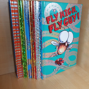 fly guy 6권