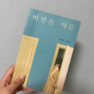 바깥은 여름 책