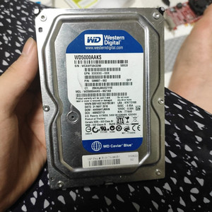 wd 블루 500gb