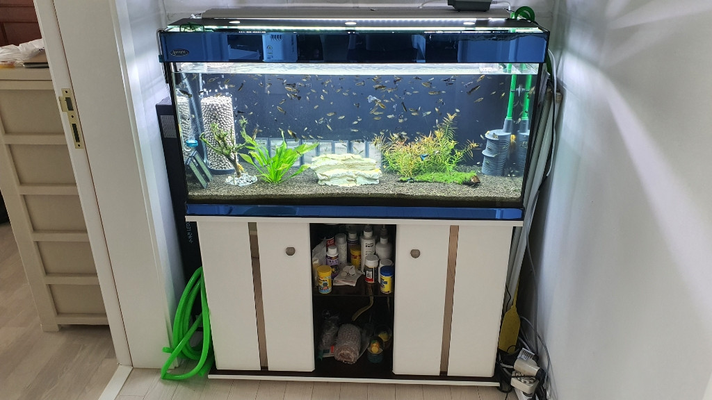 3자어항 받침--3