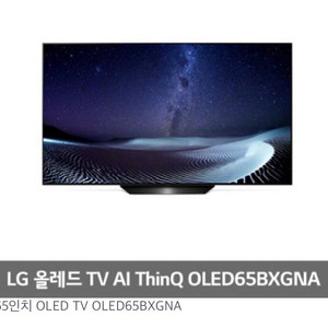 LG 65인치 OLED TV OLED65BXGNA