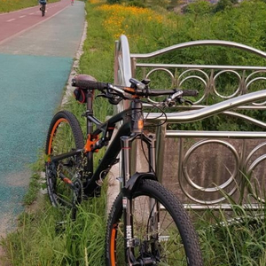 MTB 카본 독일메이드 하이바 자전거 풀샥