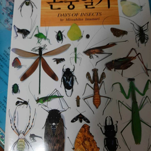 곤충일기.보관 새책