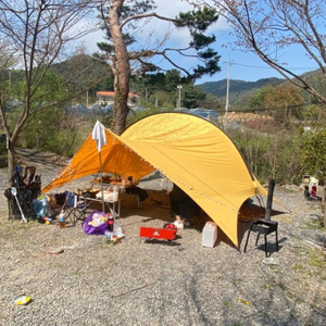 케이프타프 엘로우색상 캠핑 타프 판매합니다