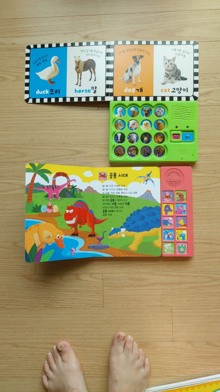 인천 연수구/ 애플비 핑크퐁 사운드북 4권--1