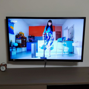 LG TV 42인치