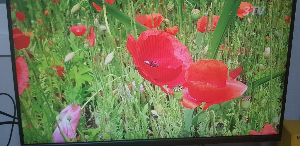 144 한성모니터 팜니다--1