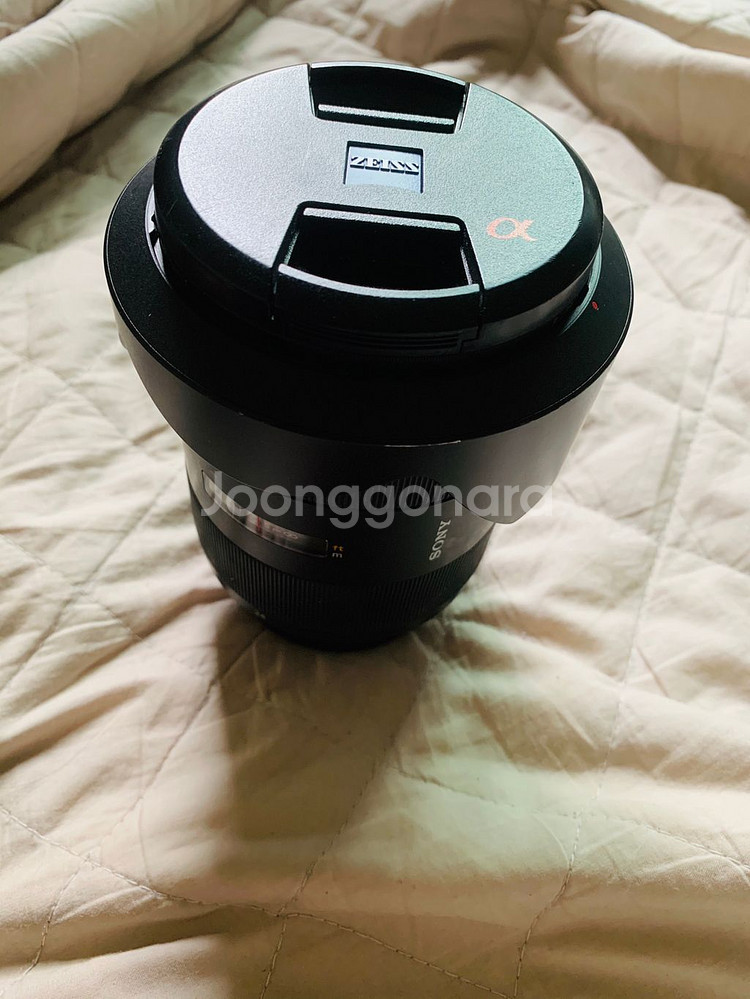 sony a99 + 2470za + 85za 풀프레임--6