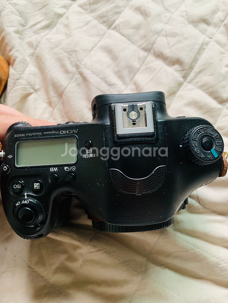 sony a99 + 2470za + 85za 풀프레임--2