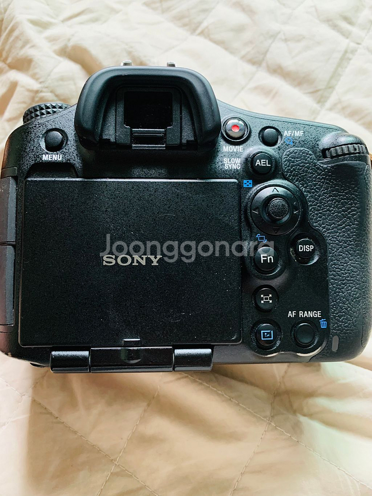 sony a99 + 2470za + 85za 풀프레임--1