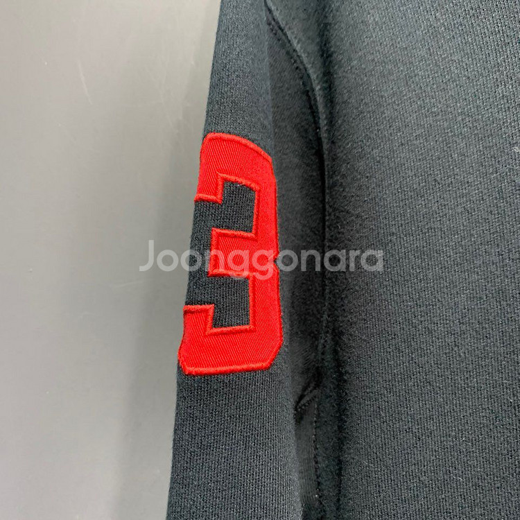 폴로 랄프로렌 빅포니 후드티--5