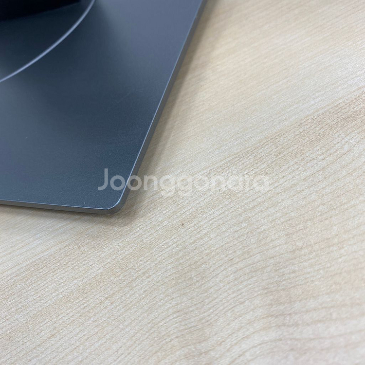 DELL 프로페셔널 모니터 P2417H--2