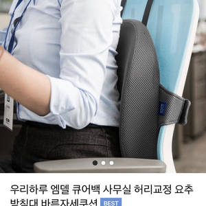 큐어백 플러스 등받이쿠션