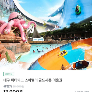 스파밸리 종일권 (~8월 16일)