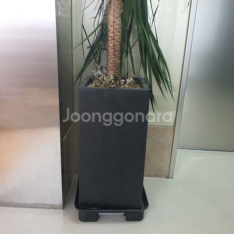 화분 무료 나눔합니다--0