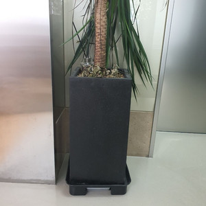 화분 무료 나눔합니다