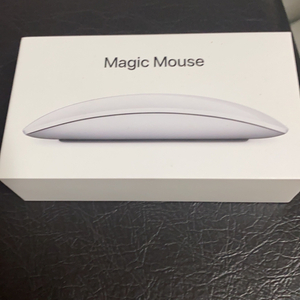 APPLE MAGIC MOUSE2 애플 매직마우스2