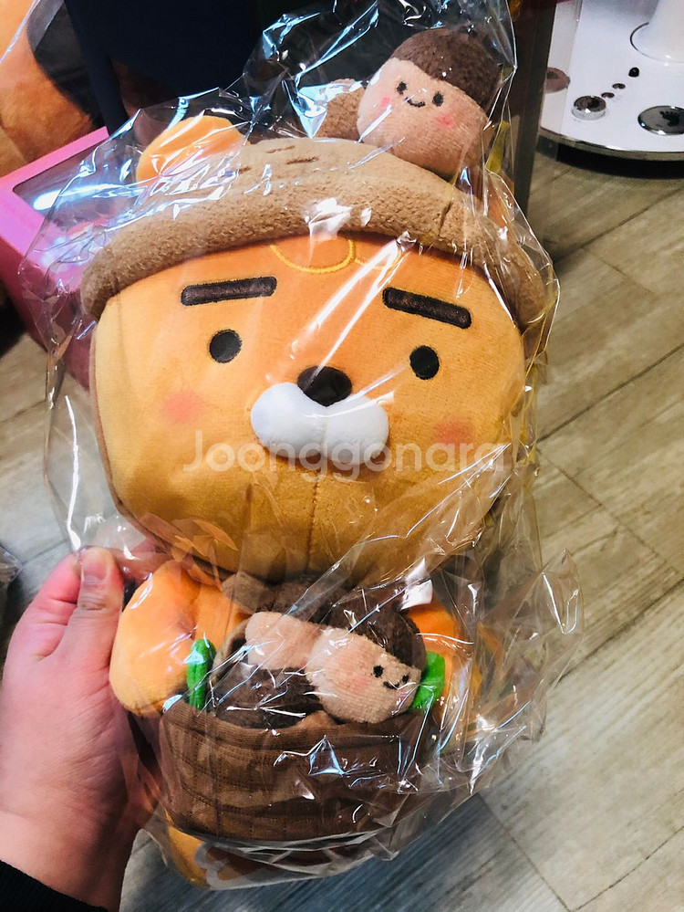 어텀스토리 도토리 라이언 인형--0