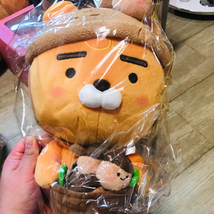 어텀스토리 도토리 라이언 인형