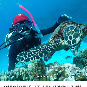 제주도 범섬 체험다이빙 2인