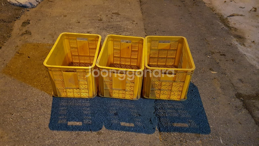 사과컨테이너 상자 500개(충주)--0