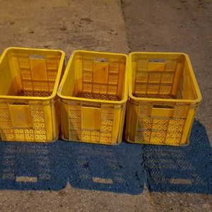 사과컨테이너 상자 500개(충주)
