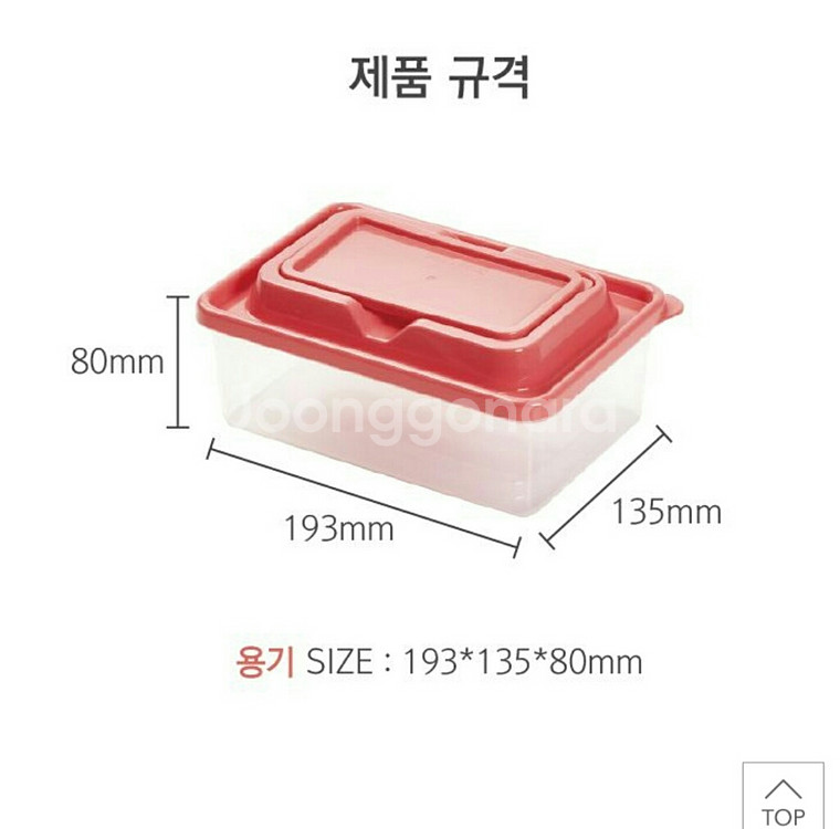 테지움 테디베어 쿨러백세트/도시락세트/쿨러백런치세트/밀--2