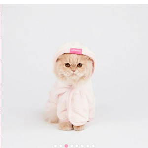 고양이 목욕가운