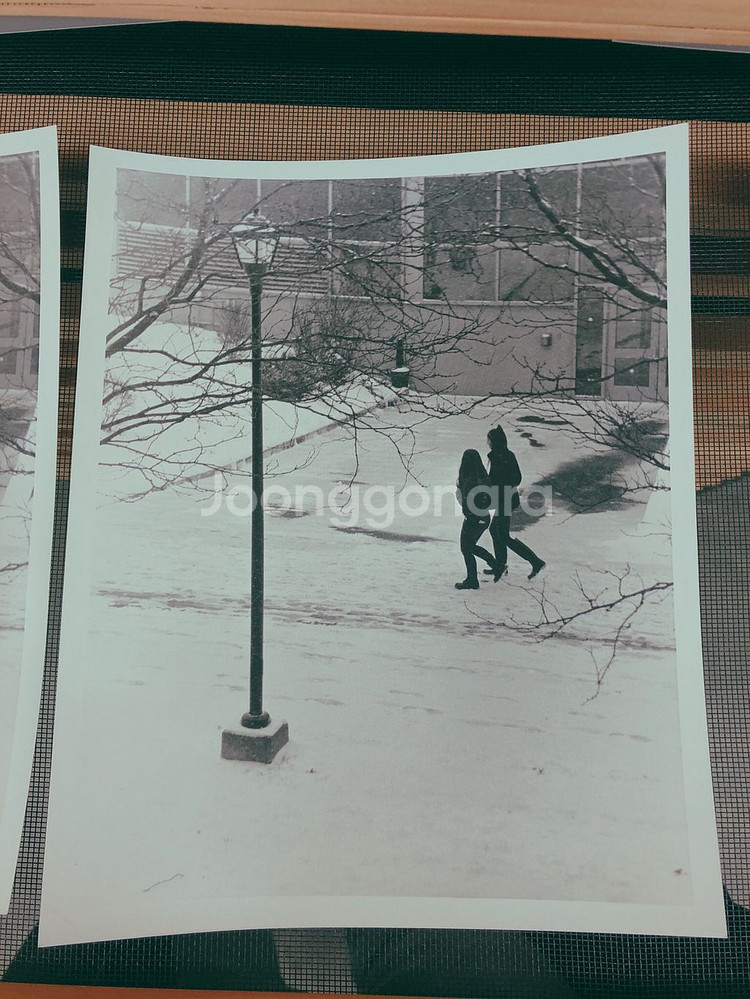 켄트미어 400 35mm흑백 필름 Kentmere 40--3