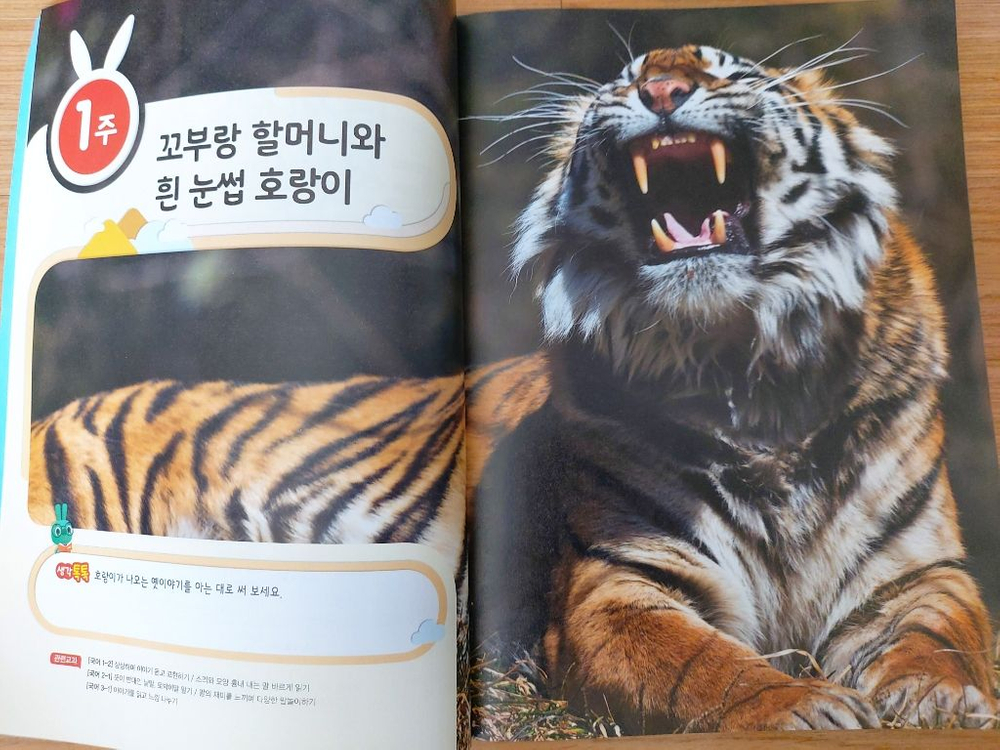 인천 연수구/세마리 토끼잡는 독서논술 a3, 4,5--1