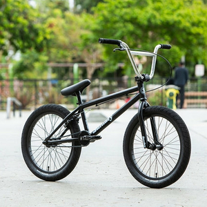 BMX 선데이 블루프린트 2020년형 (묘기, 트릭용)