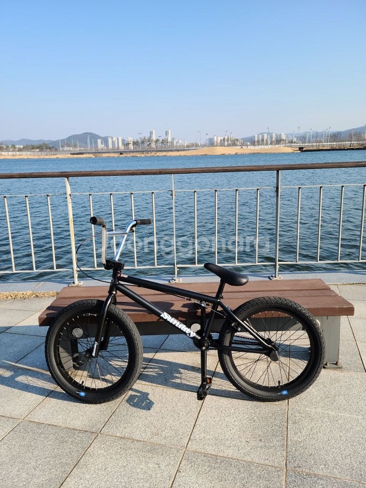 BMX 선데이 블루프린트 2020년형 (묘기, 트릭용)--1