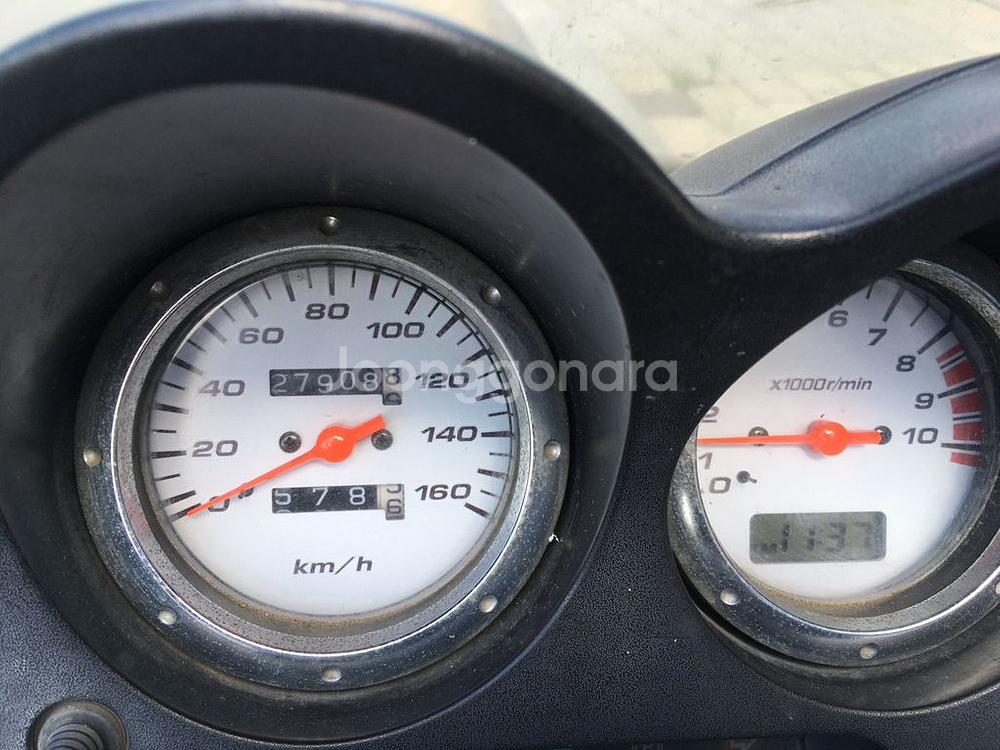 포르자 250--8