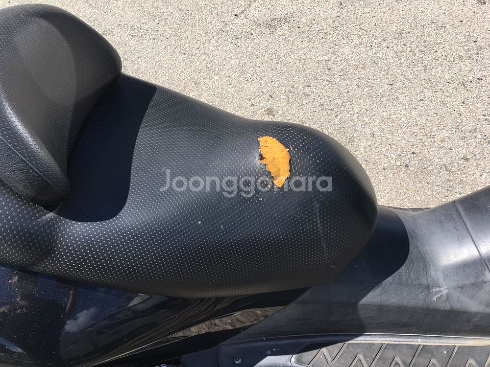 포르자 250--6