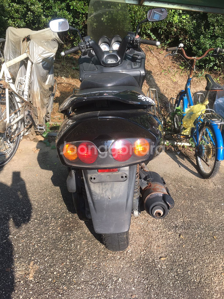 포르자 250--2