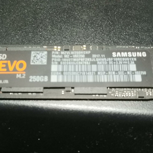 삼성 nvme ssd 960 evo 250 gb