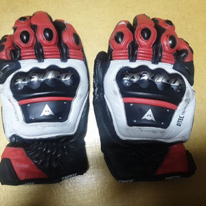 다이네즈 evo 글러브