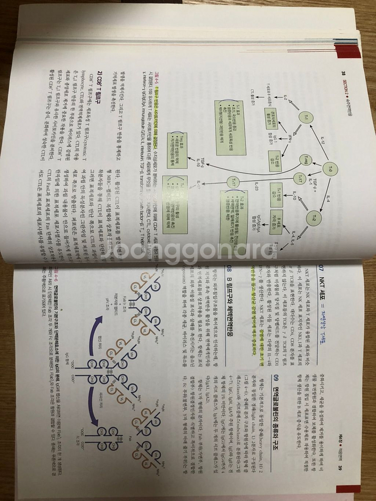간호 미생물학--2