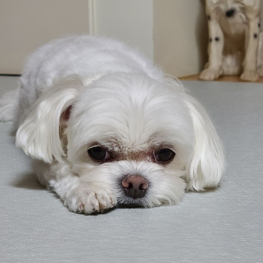 profile-image