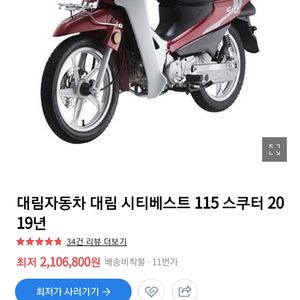 시티베스트