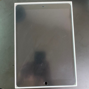 아이패드에어3 256g 셀룰러