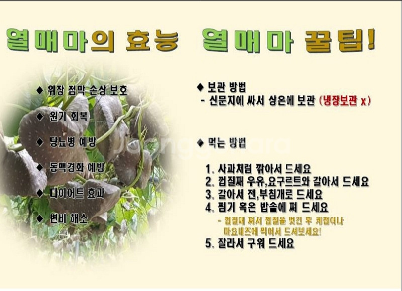 직접 재배한 열매마--0