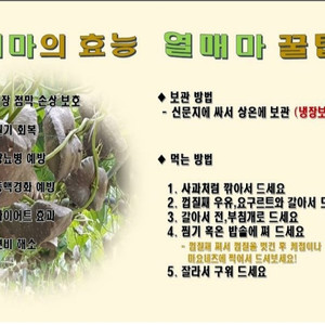 직접 재배한 열매마