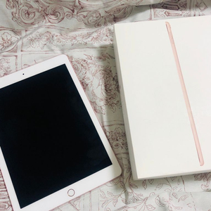 Ipad pro 9.7 128GB wifi + 셀룰러