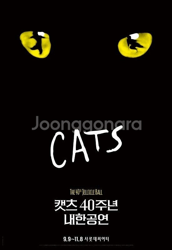뮤지컬 캣츠 40주년 내한공연 R석 2매 판매합니다^^--0