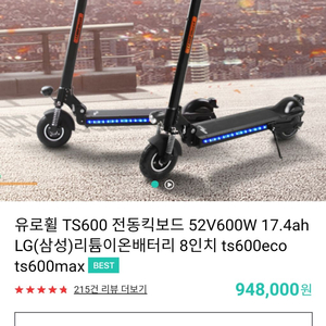 유로휠 ts600 52v 17.4a 삼성배터리 팝니다