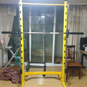 스미스머신 + 무게 110kg