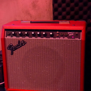 팬더 엠프(JAPAN)