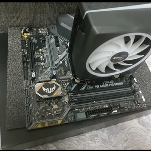 Ryzen 3600 + Asus TUF B450 +쿨러