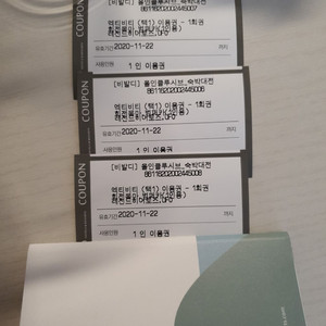 대명 비발디파크 무료이용권 팜